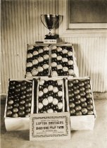 Apples, prizewinning, Lupton Brothers